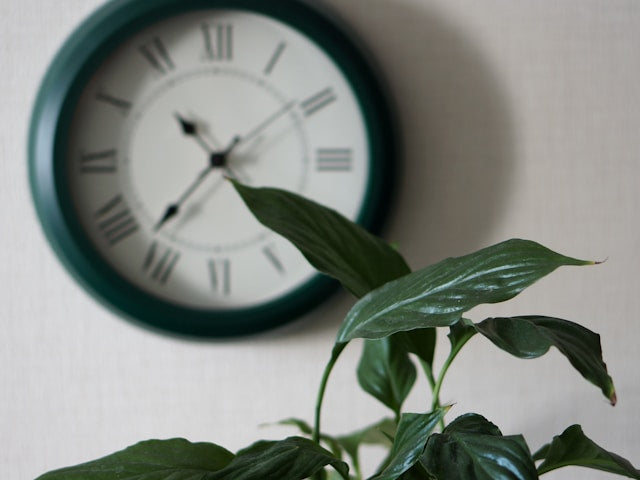 Kategorie Bild Haushalt