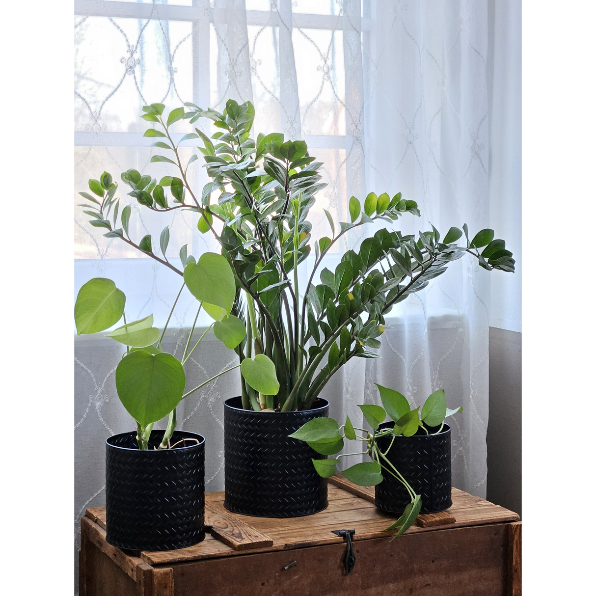 Flowerpot planter pot pot set of 3 black round metal matt