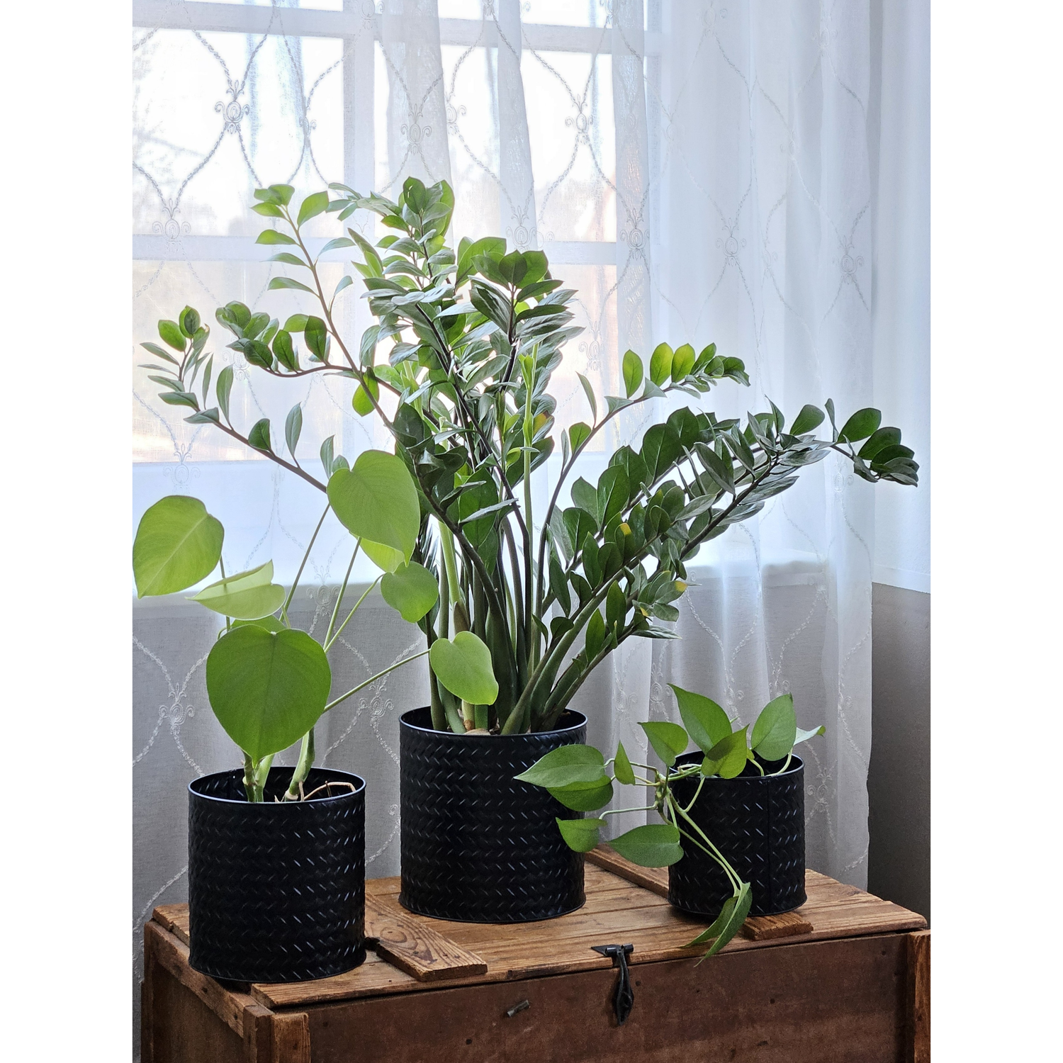 Flowerpot planter pot pot set of 3 black round metal matt