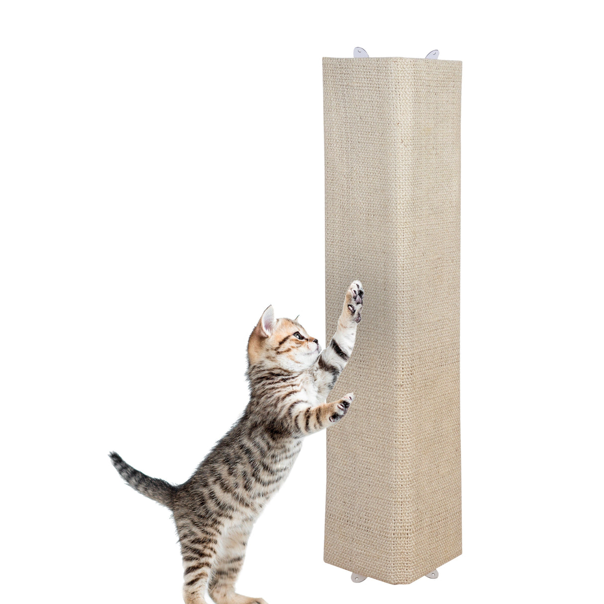 Scratching board scratching mat for wall 80x28 cm corner scratching board scratching post cats cat sisal