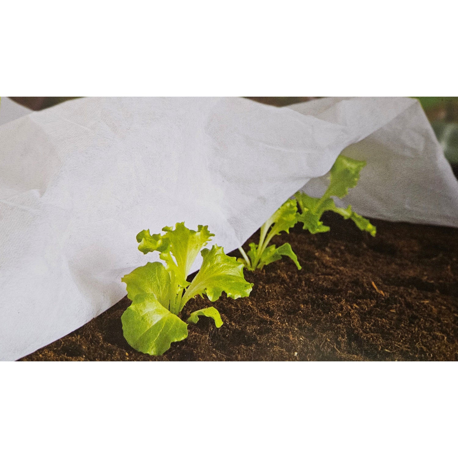 Plant cover frost protection fleece winter protection plant protection white cold protection