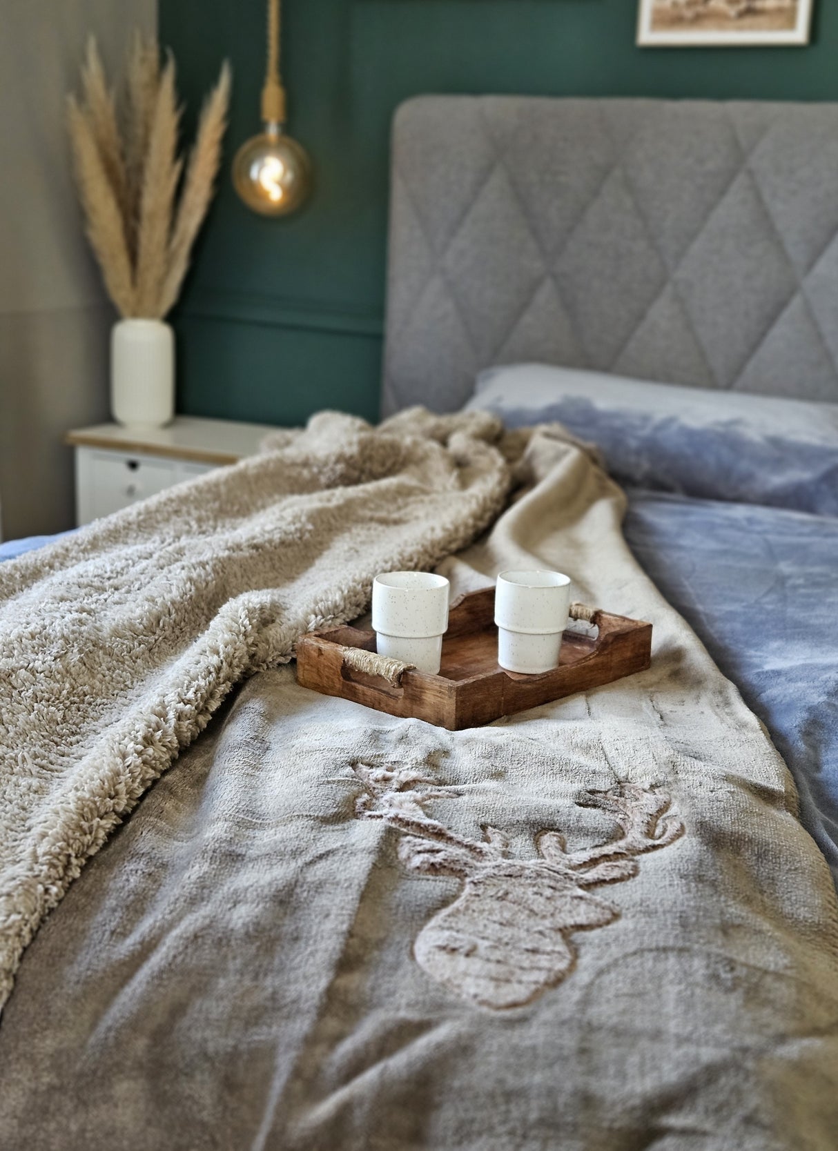 Blanket Cuddly blanket Bedspread Living blanket Deer Winter 150x200 cuddly soft