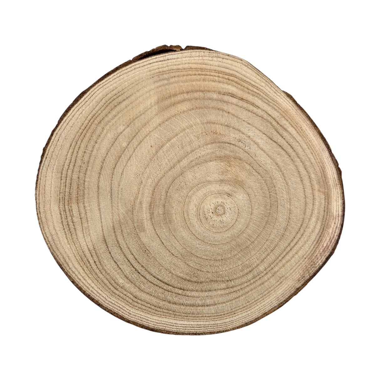 Baumscheibe rund Dekoscheibe Basteln Dekoteller auf Füßen Holzscheibe mit Rinde 17-22 cm - Baumscheibe