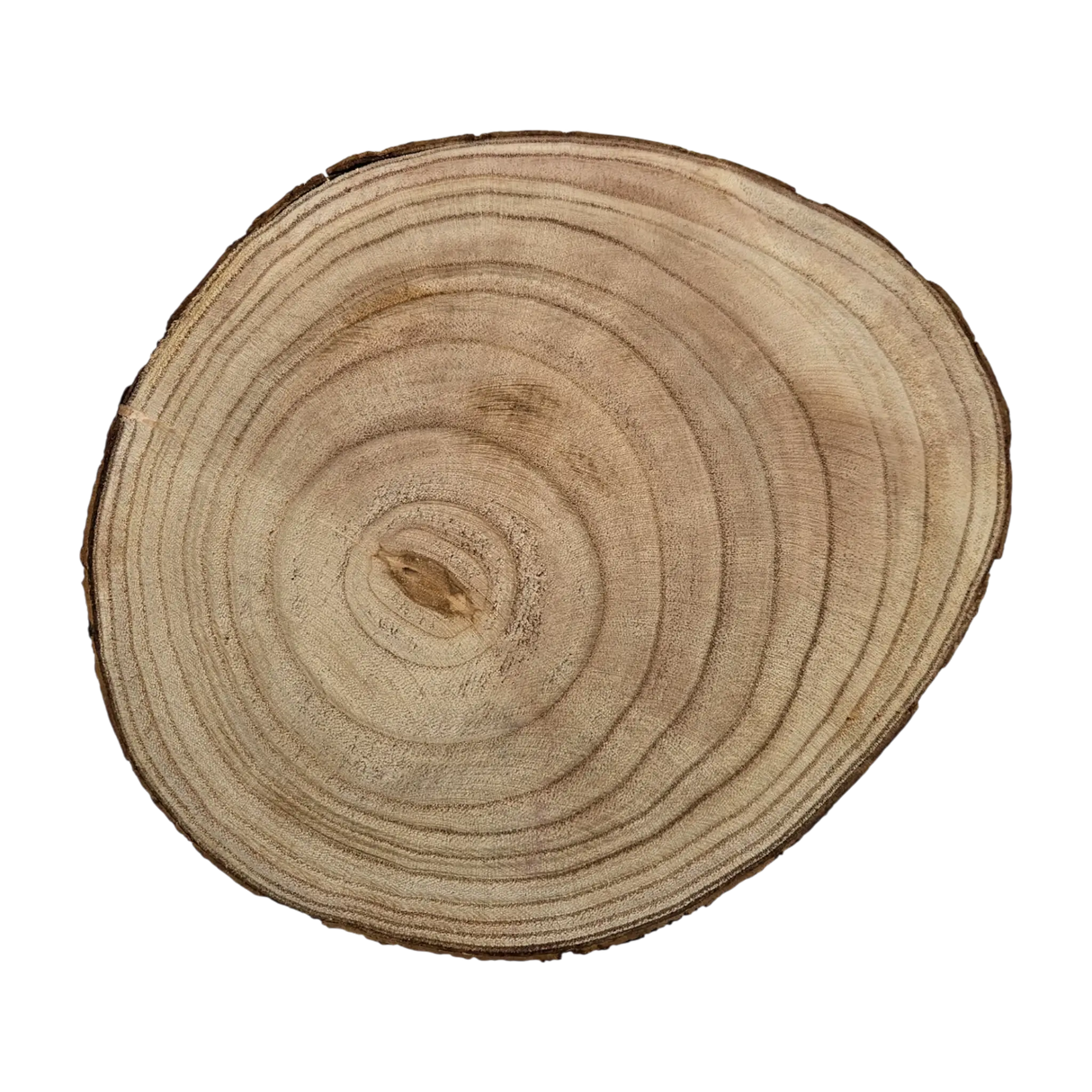 Baumscheibe rund Dekoscheibe Basteln Dekoteller auf Füßen Holzscheibe mit Rinde 17-22 cm - Baumscheibe