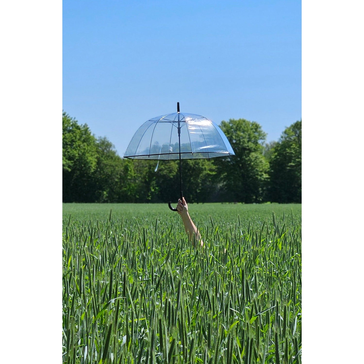 Umbrella bell umbrella umbrella rain bell shape round clear transparent Ø 85 cm