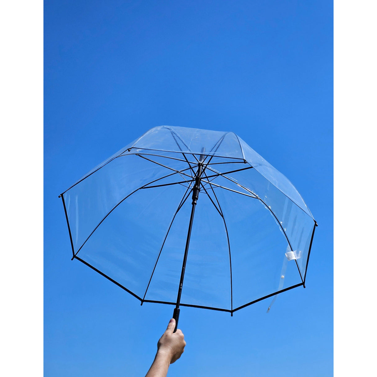 Umbrella bell umbrella umbrella rain bell shape round clear transparent Ø 85 cm