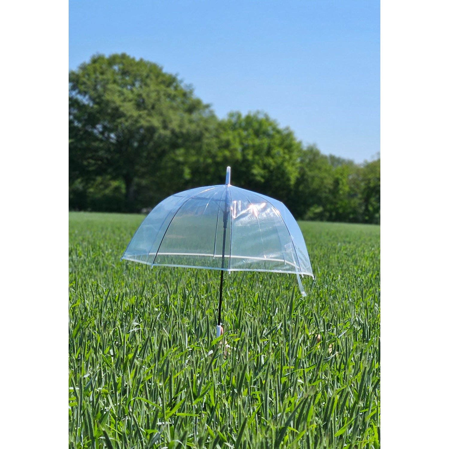 Umbrella bell umbrella umbrella rain bell shape round clear transparent Ø 85 cm