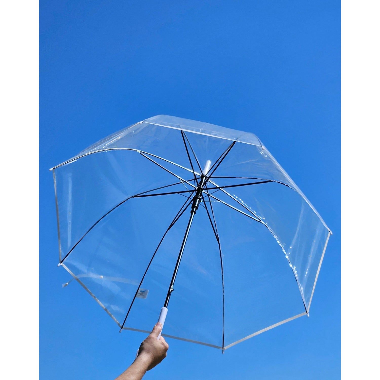 Umbrella bell umbrella umbrella rain bell shape round clear transparent Ø 85 cm