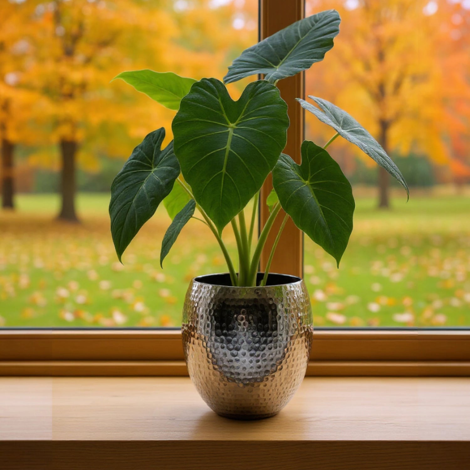 Übertopf Blumentopfe Silber Pflanztopf Deko 2er Set glänzend rund