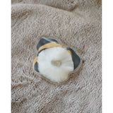 3 Handwärmer Taschenwärmer Taschenheizung Wärmekissen Wärmer Hund Katze 3er SET - Handwärmer