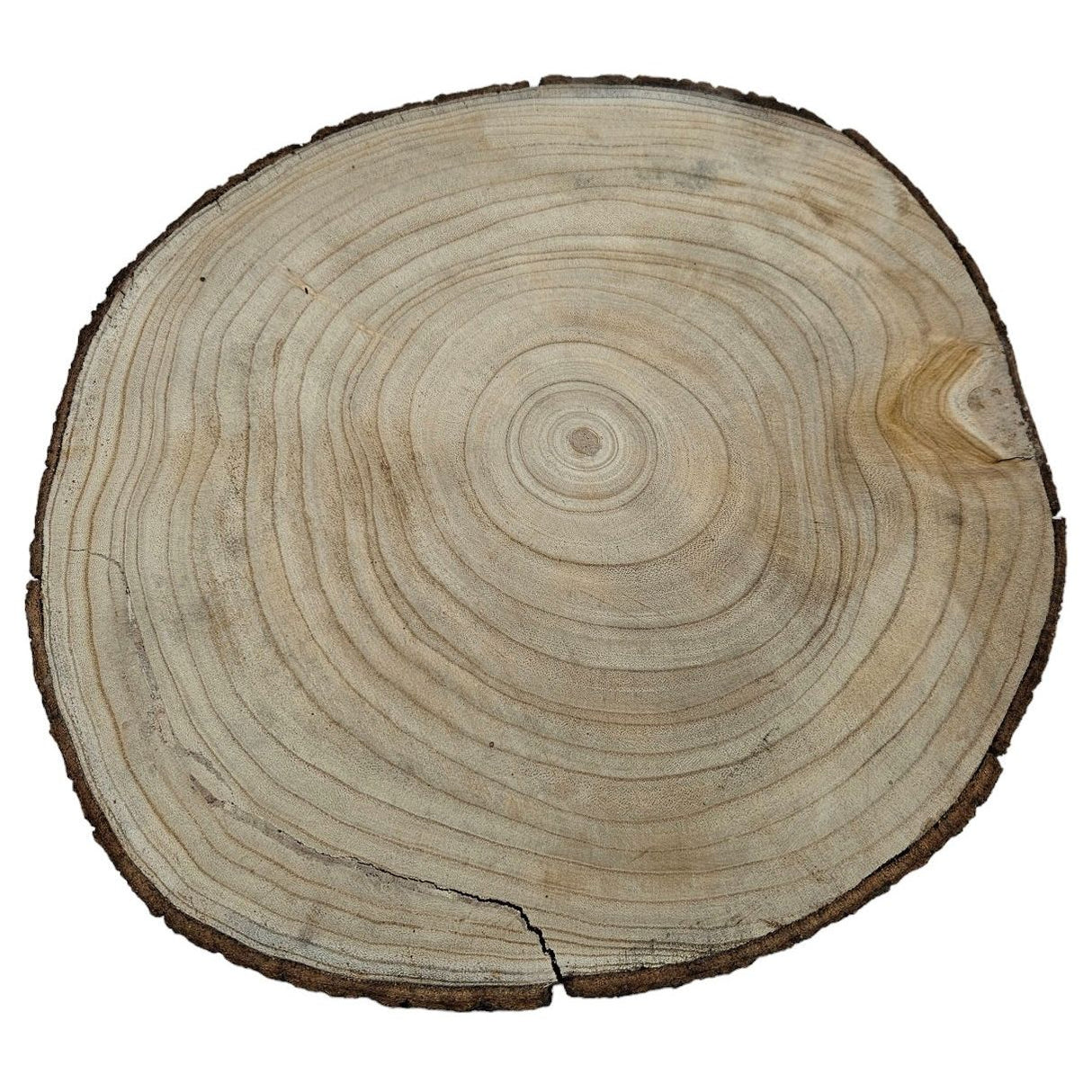Baumscheibe Dekobrett Holz Holzbrett Brett Teller Tablett Deko Ø 34-42 cm B-WARE