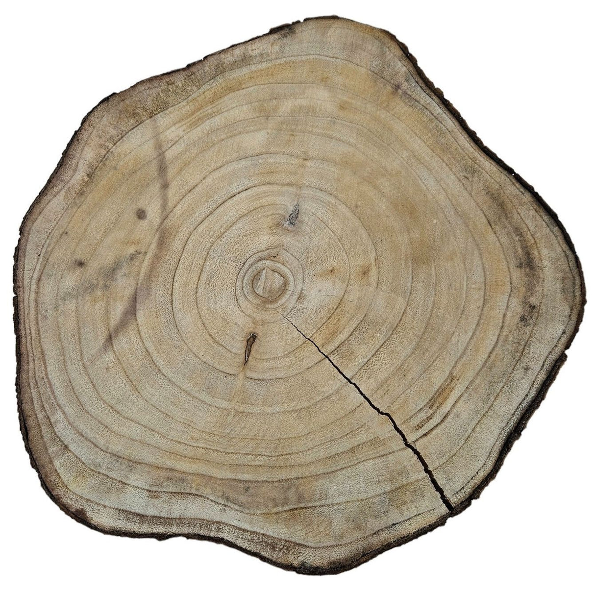 Baumscheibe Dekobrett Holz Holzbrett Brett Teller Tablett Deko Ø 34-42 cm B-WARE