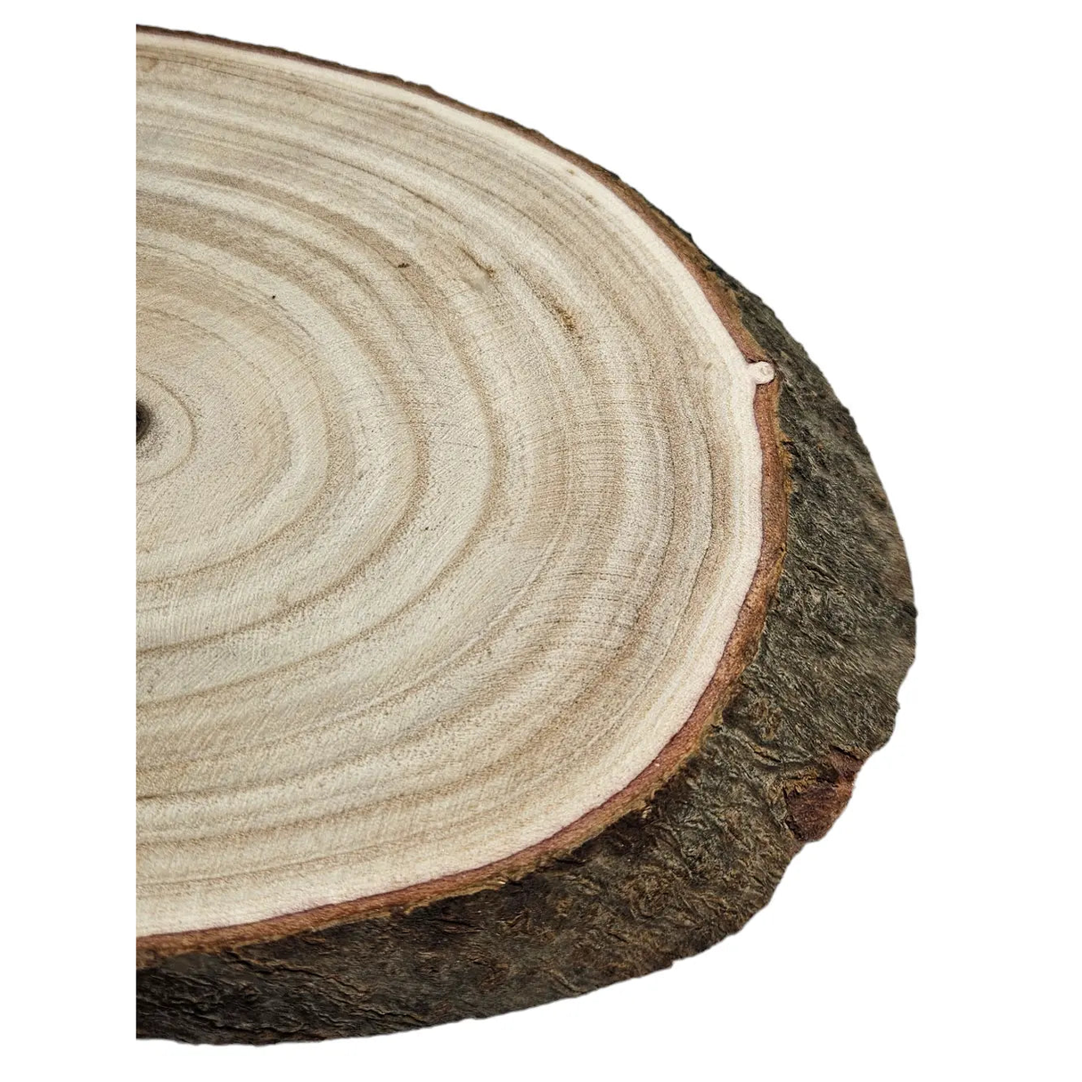 Baumscheibe Brett oval Holz Holzbrett Dekobrett Tablett Holzscheibe Ø 20 - 23 cm