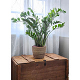Blumentopf Pflanztopf Pflanzkorb Korb Übertopf Seegras braun rund Groß Ø 25 cm
