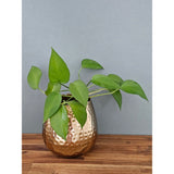 Blumentopf Übertopf Vase gold Metall Hammerschlag 18x18 cm Pflanztopf Deko