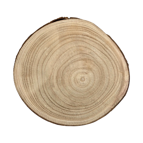 Baumscheibe rund Dekoscheibe Basteln Dekoteller auf Füßen Holzscheibe mit Rinde 17-22 cm - Baumscheibe