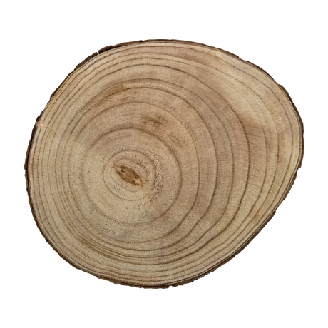 Baumscheibe rund Dekoscheibe Basteln Dekoteller auf Füßen Holzscheibe mit Rinde 17-22 cm - Baumscheibe