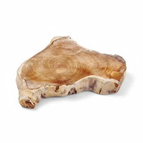 Baumscheibe Teak Scheibe Holzscheibe Untersetzer Holz Massiv 16-20 cm Rustikal Tablett - Baumscheibe
